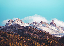 使用 WilduTools 增强 UI 并实现常用任务自动化